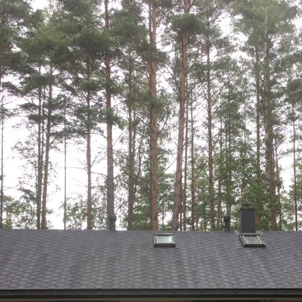 Palahuopakaton saneeraus